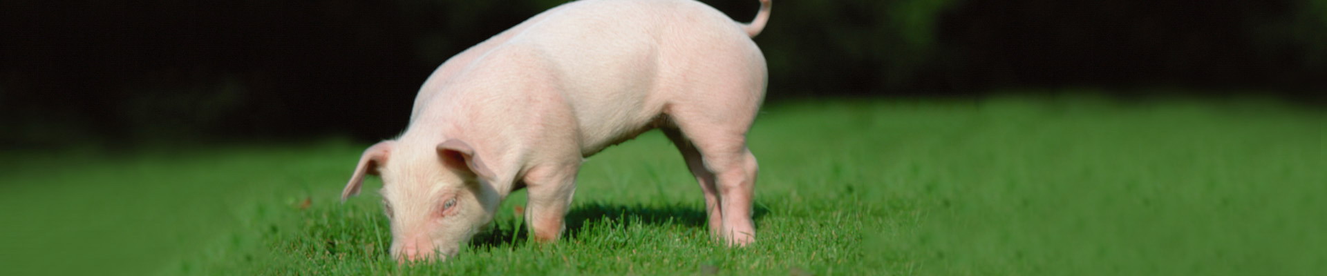 BC贷(中国游)官方网站