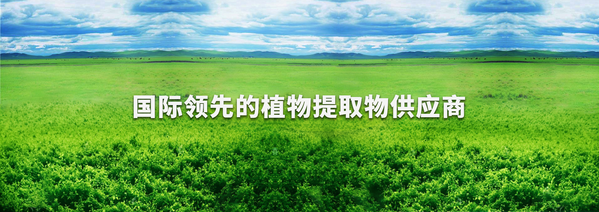 BC贷(中国游)官方网站