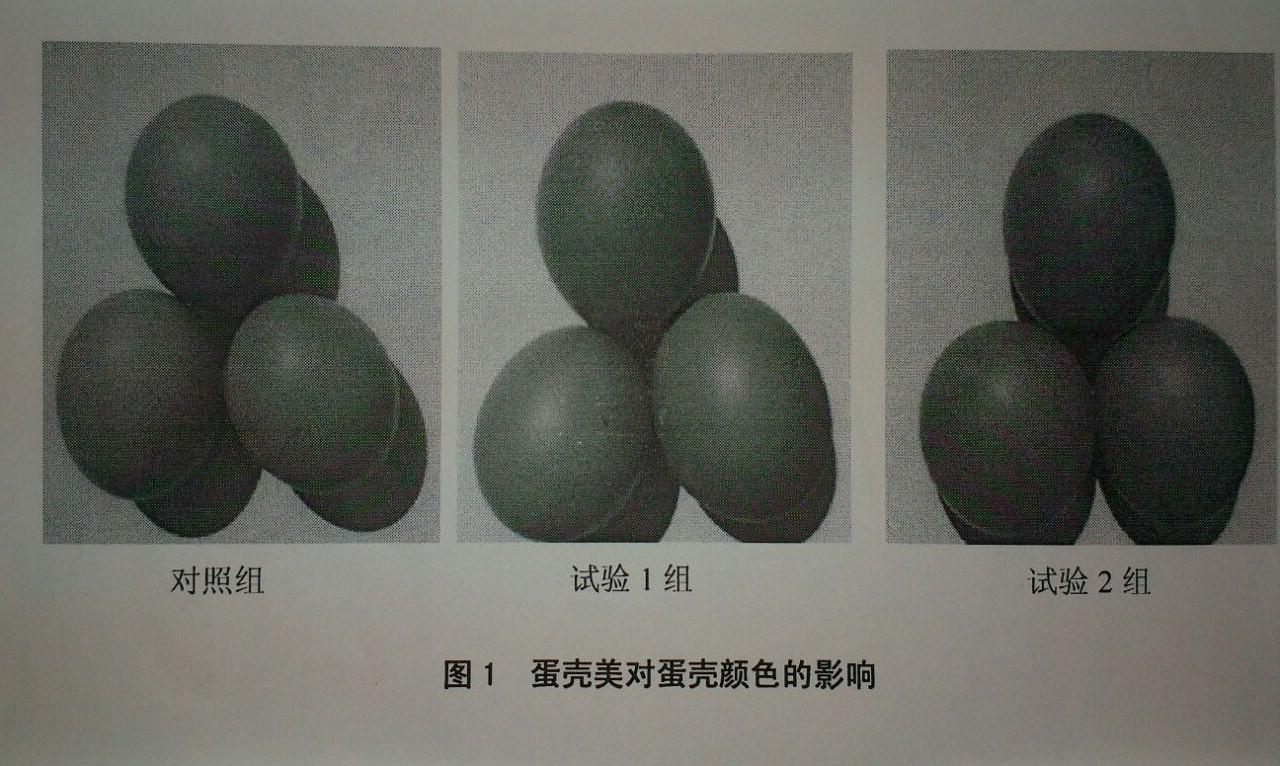 BC贷(中国游)官方网站