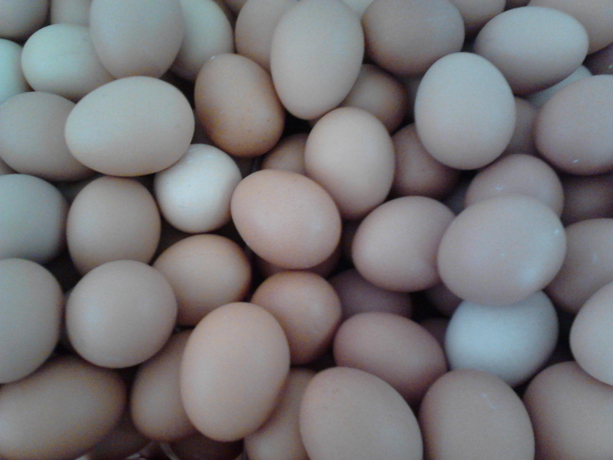 BC贷(中国游)官方网站