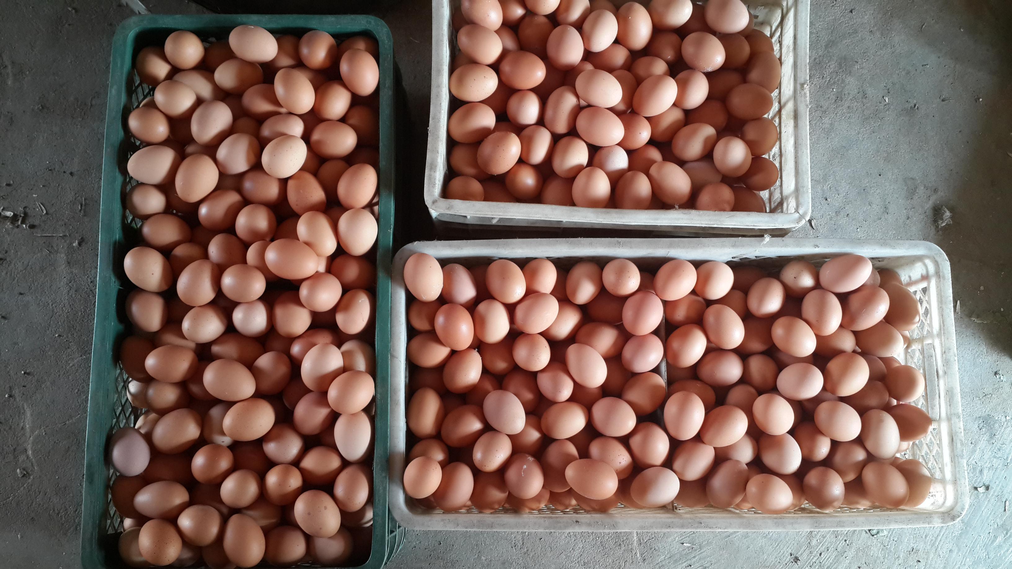 BC贷(中国游)官方网站