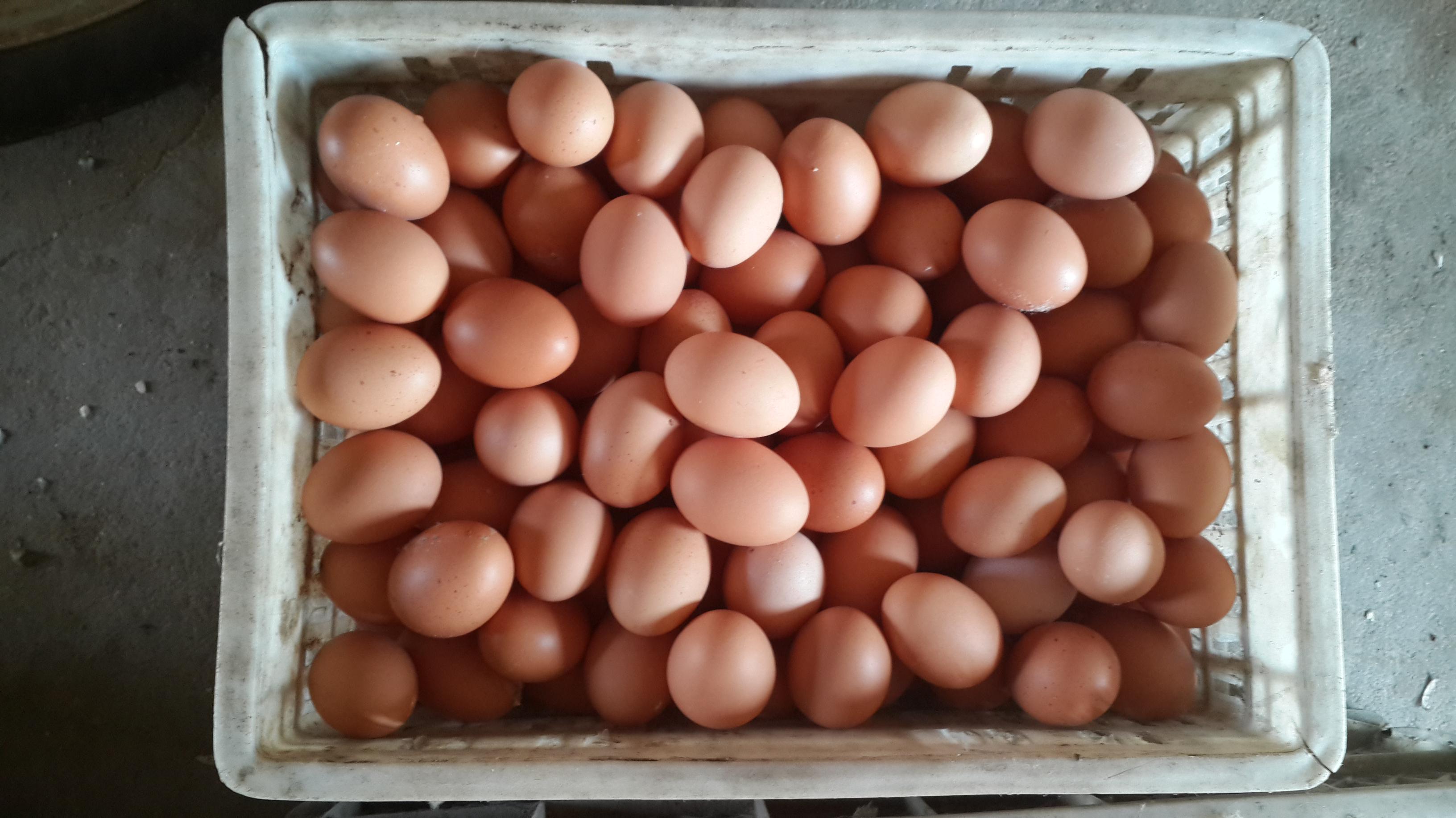 BC贷(中国游)官方网站