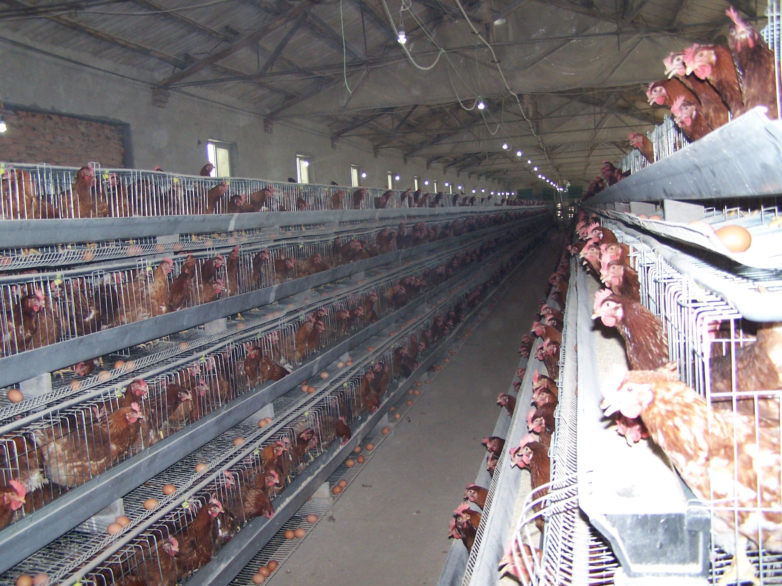 BC贷(中国游)官方网站