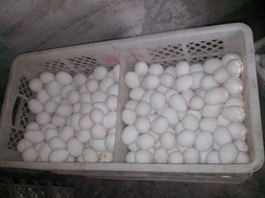 BC贷(中国游)官方网站