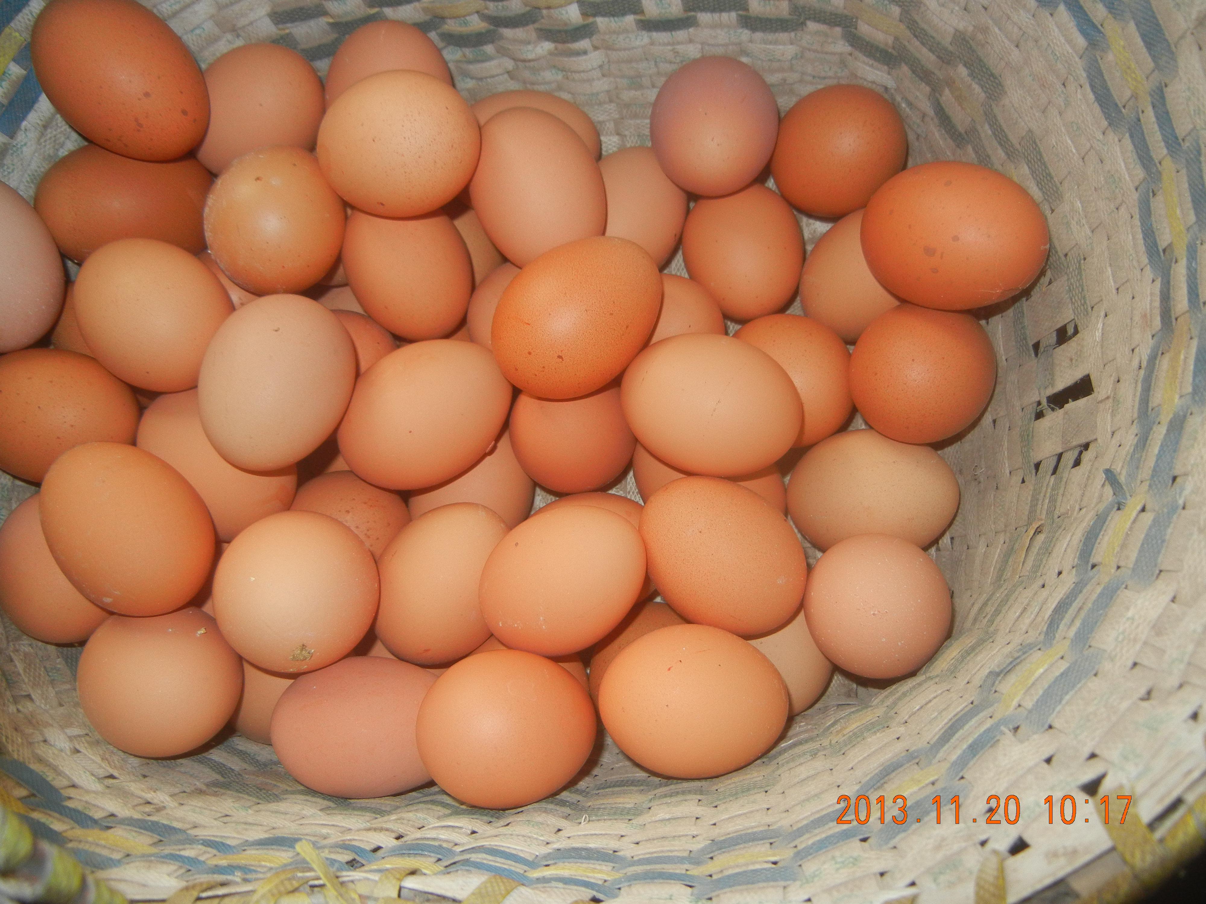 BC贷(中国游)官方网站