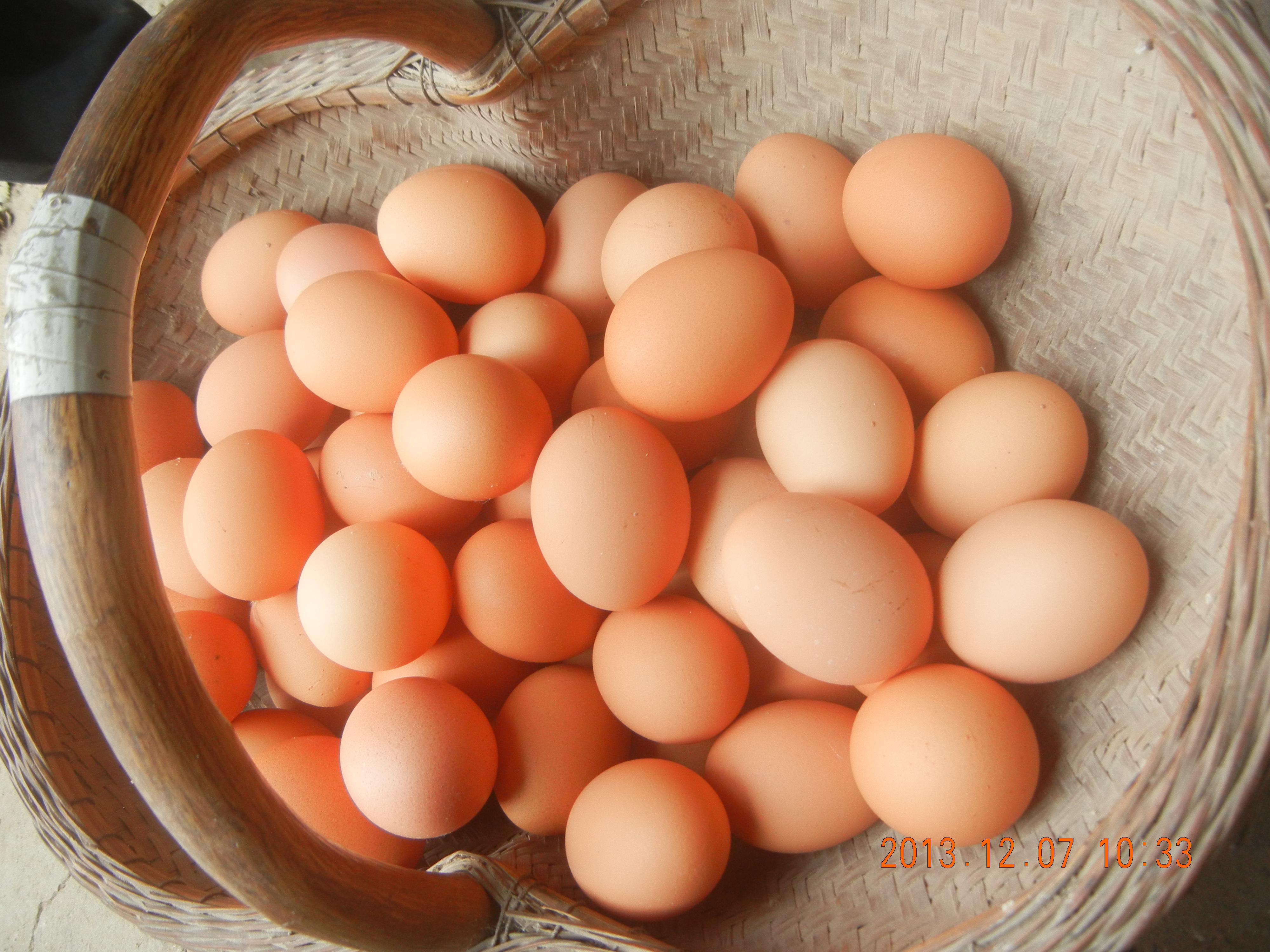 BC贷(中国游)官方网站