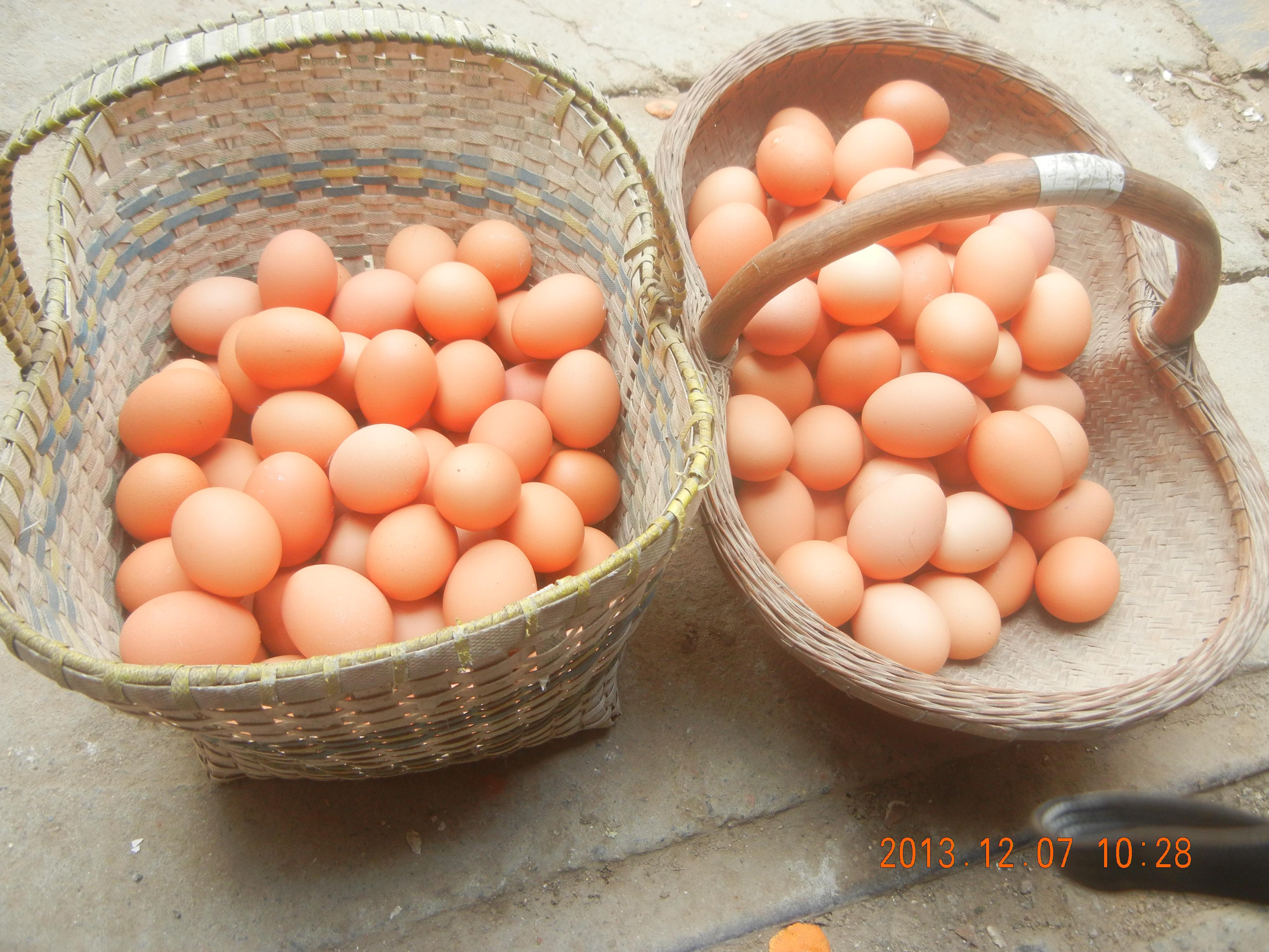 BC贷(中国游)官方网站