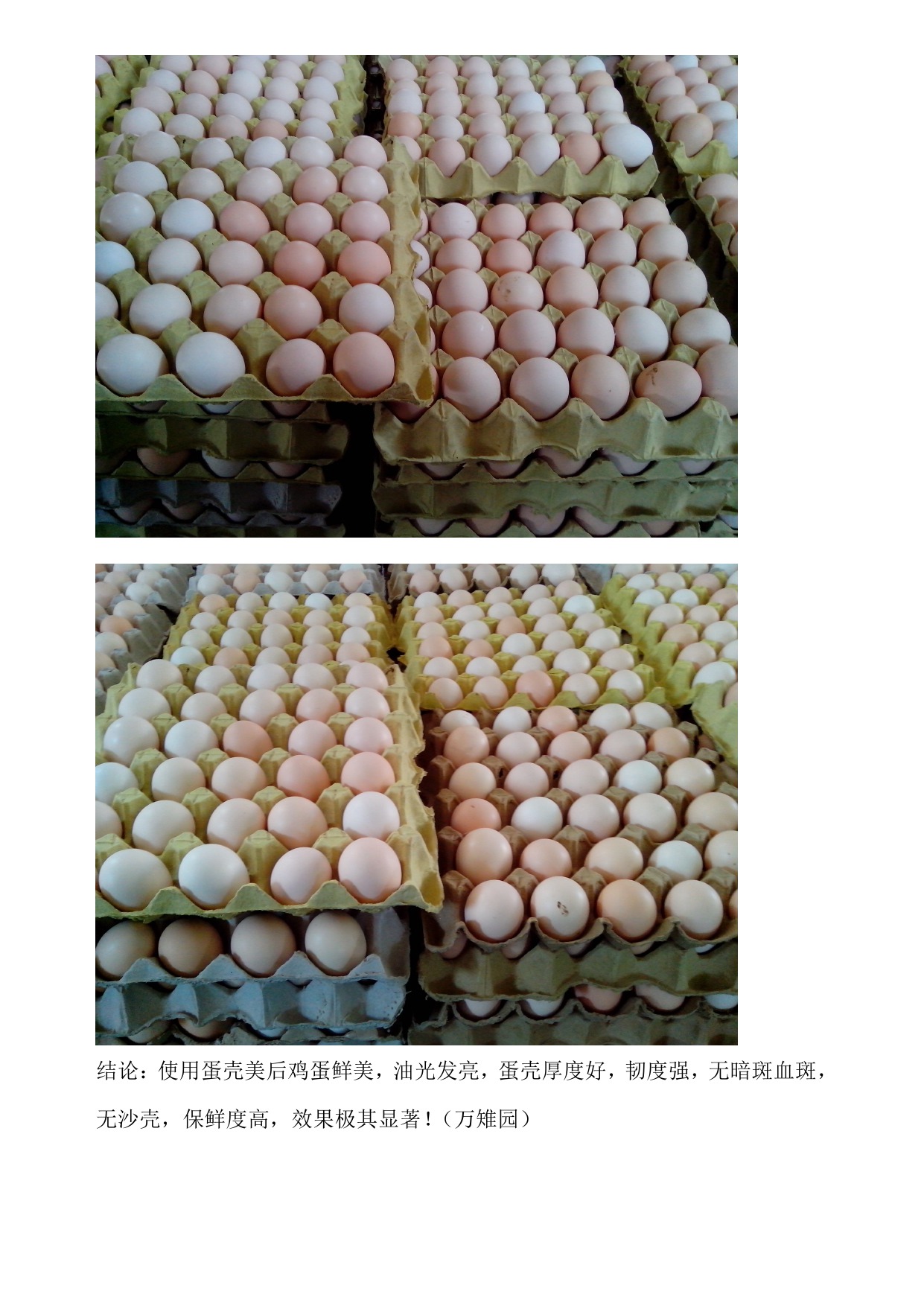 BC贷(中国游)官方网站