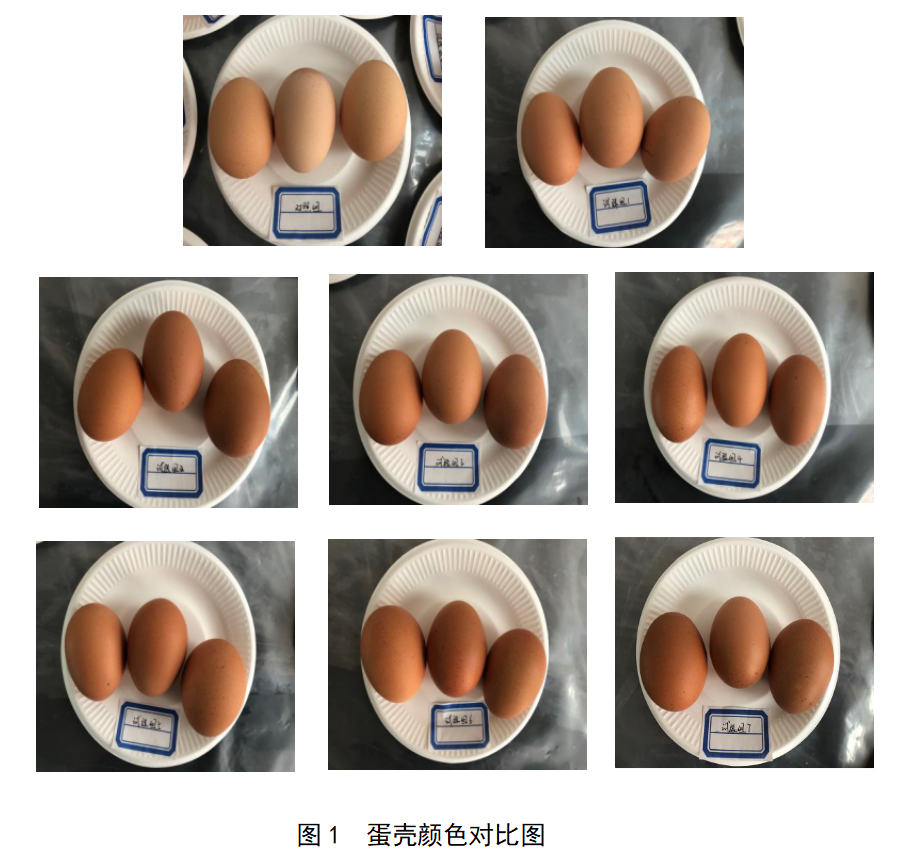 BC贷(中国游)官方网站