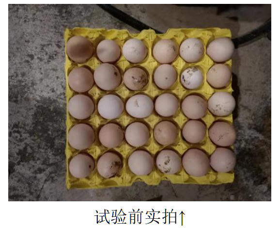 BC贷(中国游)官方网站