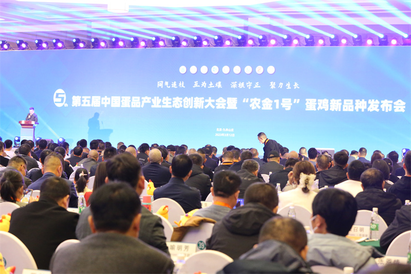 BC贷(中国游)官方网站