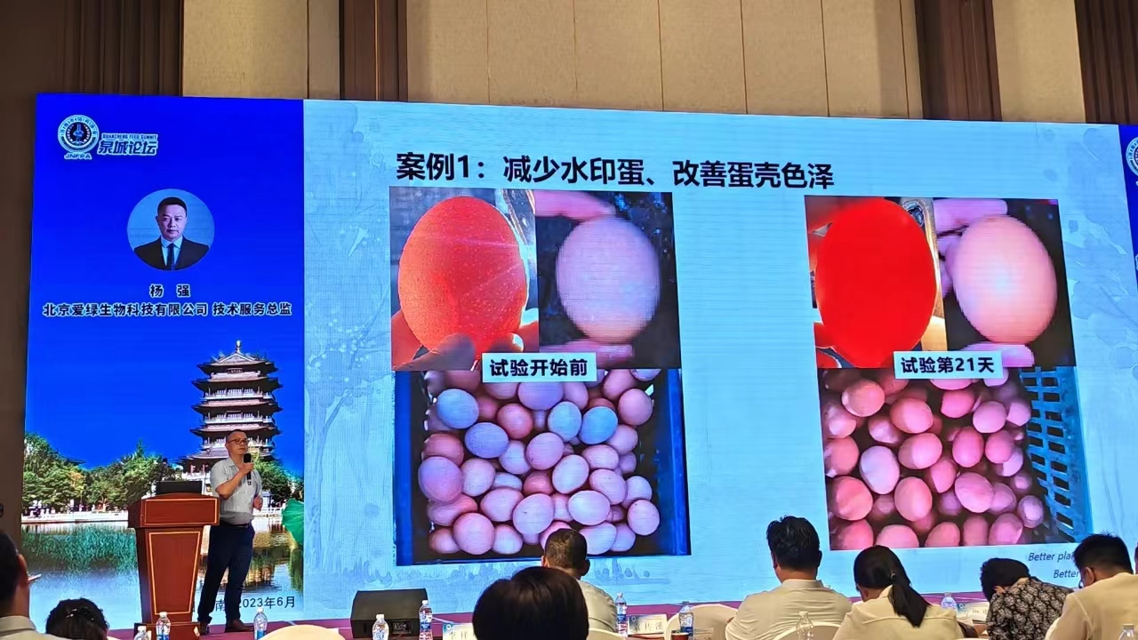 BC贷(中国游)官方网站