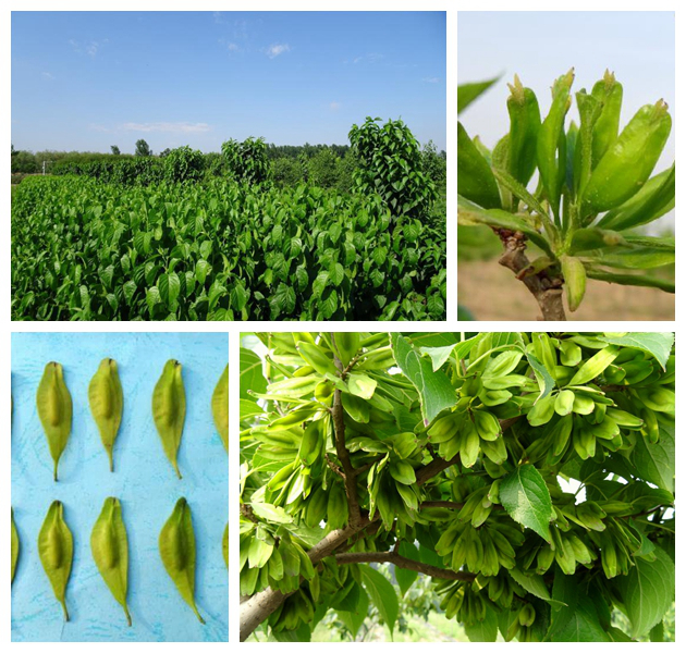 BC贷(中国游)官方网站